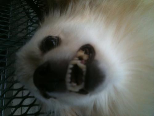 <img500*375:stuff/xbnlzcv.jpg>