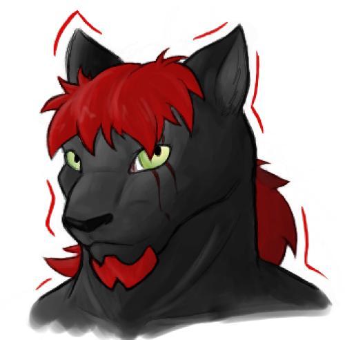 <img0*492:stuff/xerxcJKfg.jpg>
