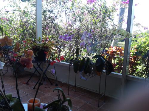 <img500*375:stuff/xhjDF0q.jpg>