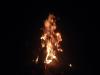 xjkSDop
