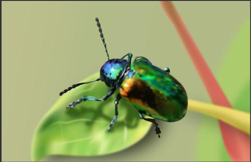 xkl67pa