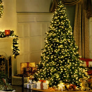 <img:stuff/xmas.jpg>