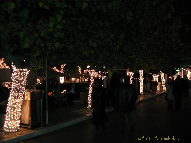 <img:stuff/xmastrees1.jpg>