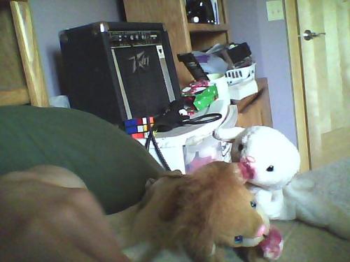 <img500*375:stuff/xpafglz.jpg>