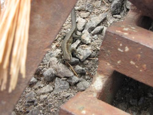 <img500*375:stuff/xpazxsd.jpg>