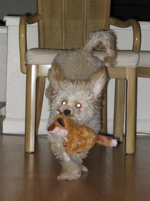 <img500*668:stuff/xtyweQW.jpg>