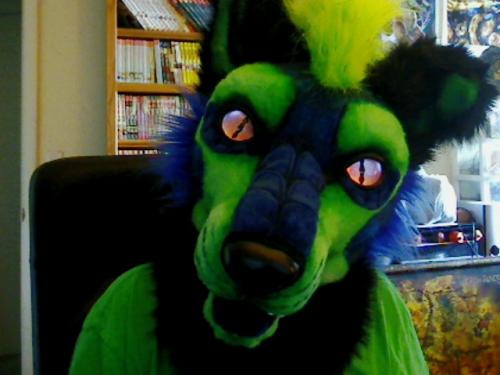 <img500*375:stuff/xvbPACV.jpg>