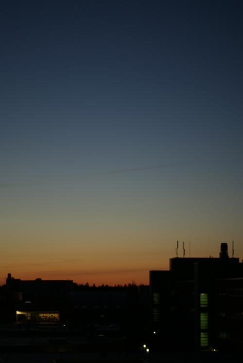 <img500*746:stuff/xxcoplz.jpg>
