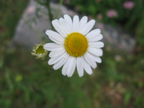 <img500*375:stuff/xyu45rt.jpg>