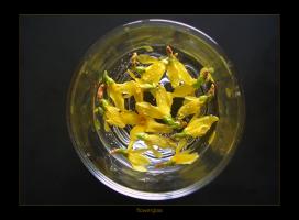 <img272*0:stuff/yellowglas%20copy.jpg>