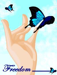 <img200*0:stuff/yorufreedom.png>