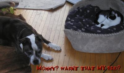 <img400*0:stuff/you%20lose%20L%26B.jpg>