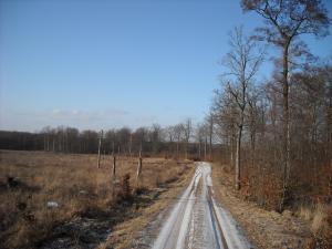 <img300*0:stuff/yup.._it%27s_the_right_road..jpg>