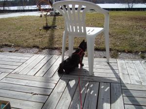 <img300*0:stuff/z/1/2009-04-12.lilo/DSC01794.JPG>