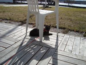 <img300*0:stuff/z/1/2009-04-12.lilo/DSC01797.JPG>