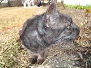 <img300*0:stuff/z/1/2009-04-12.lilo/DSC01799.JPG>