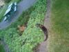 2012-05-20Mixed