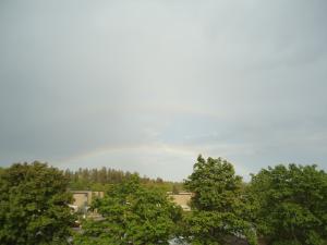 <img300*0:stuff/z/1/2012-05-20Mixed/DSC06625.JPG>