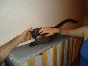 <img300*0:stuff/z/1/2013-06-07/DSC08476.JPG>