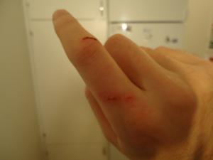 <img300*0:stuff/z/1/After%2520Catfight/dsc02769.jpg>
