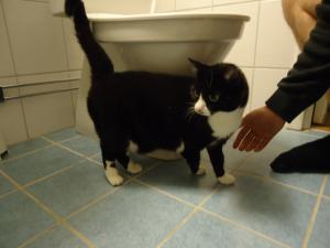 <img300*0:stuff/z/1/After%2520Catfight/dsc02770.jpg>