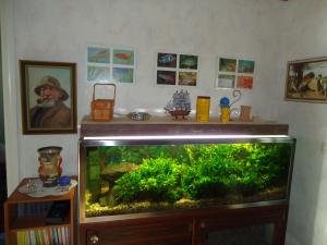 <img300*0:stuff/z/1/Ahlberg95/dsc02566.jpg>