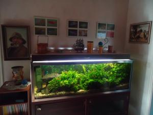 <img300*0:stuff/z/1/Ahlberg95/dsc02567.jpg>