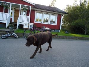 <img300*0:stuff/z/1/Ahlberg95/dsc02573.jpg>