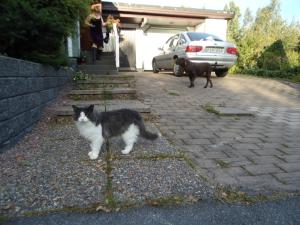 <img300*0:stuff/z/1/Ahlberg95/dsc02574.jpg>