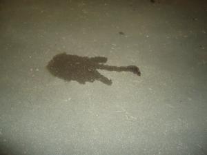 <img300*0:stuff/z/1/Ahlberg95/dsc02641.jpg>