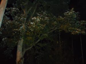 <img300*0:stuff/z/1/Ahlberg95/dsc02647.jpg>