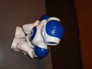 <img300*0:stuff/z/1/Aldebaran%2520Robotics%2520Presentation/DSC03790.JPG>