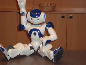 <img300*0:stuff/z/1/Aldebaran%2520Robotics%2520Presentation/DSC03797.JPG>