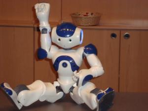 <img300*0:stuff/z/1/Aldebaran%2520Robotics%2520Presentation/DSC03798.JPG>