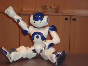 <img300*0:stuff/z/1/Aldebaran%2520Robotics%2520Presentation/DSC03799.JPG>