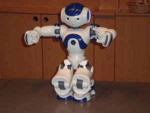 <img300*0:stuff/z/1/Aldebaran%2520Robotics%2520Presentation/DSC03800.JPG>