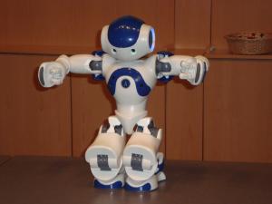 <img300*0:stuff/z/1/Aldebaran%2520Robotics%2520Presentation/DSC03801.JPG>