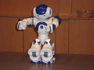 <img300*0:stuff/z/1/Aldebaran%2520Robotics%2520Presentation/DSC03802.JPG>