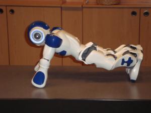 <img300*0:stuff/z/1/Aldebaran%2520Robotics%2520Presentation/DSC03803.JPG>