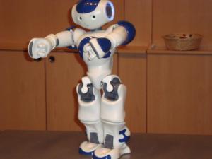 <img300*0:stuff/z/1/Aldebaran%2520Robotics%2520Presentation/DSC03804.JPG>