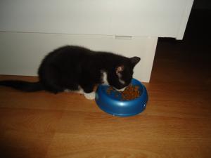 <img300*0:stuff/z/1/Anders24/dsc03584.jpg>