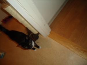 <img300*0:stuff/z/1/Anders24/dsc03587.jpg>