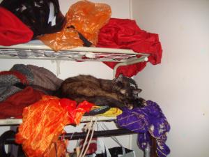 <img300*0:stuff/z/1/Anna27/DSC01815.JPG>