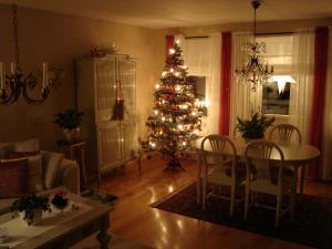 <img300*0:stuff/z/1/Annandagen%25202008/dsc00925.jpg>