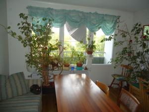 <img300*0:stuff/z/1/Apimgs/DSC06880.JPG>