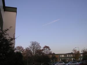 <img300*0:stuff/z/1/Autumn%2520tree%2520photo%2520reference/p1010008.jpg>