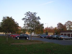 <img300*0:stuff/z/1/Autumn%2520tree%2520photo%2520reference/p1010013.jpg>