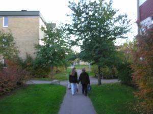 <img300*0:stuff/z/1/Autumn%2520tree%2520photo%2520reference/p1010015.jpg>