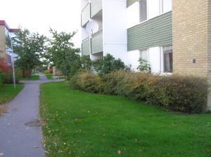 <img300*0:stuff/z/1/Autumn%2520tree%2520photo%2520reference/p1010018.jpg>