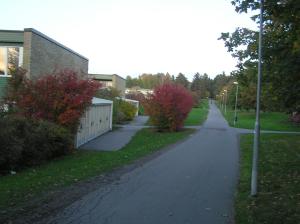 <img300*0:stuff/z/1/Autumn%2520tree%2520photo%2520reference/p1010027.jpg>